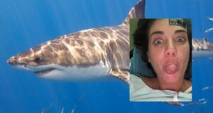 Eleonora Boi rassicura tutti dopo il morso dello squalo: “Su mari esti traitori”