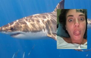 Eleonora Boi rassicura tutti dopo il morso dello squalo: “Su mari esti traitori”