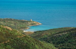 Asinara, Spanedda: “Impegno a restituire futuro all’altezza della sua bellezza”