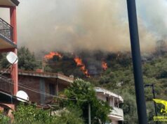 Incendio di Seulo, il Comune fa la conta dei danni: vigneti e allevamenti in fumo