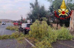 Crolla un ramo sulla 197 tra Villasanta e Furtei: auto colpita, illesi gli occupanti