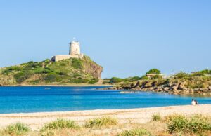 Pula, polpi uccisi in spiaggia davanti ai bagnanti | L’ira del sindaco Cabasino