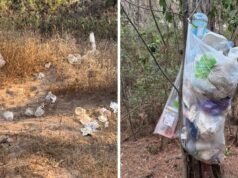Porto Ferro e Lago di Baratz, smantellato un mini campeggio abusivo