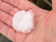 Maltempo in Sardegna, le grandinate devastano i campi: “Serve stato di calamità”