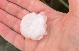 Agricoltura, presentata proposta per risarcimento danni da calamità naturali