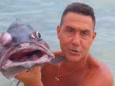 Aidaa contro Vannacci: “Spiegategli che ha mangiato cernio maschio con genitali”