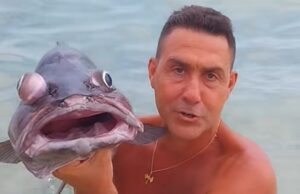 Vannacci replica agli animalisti: “E allora i pescivendoli di San Benedetto?”