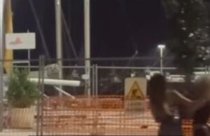 Furto insolito a Cagliari: due ragazze rubano una pianta da via Roma