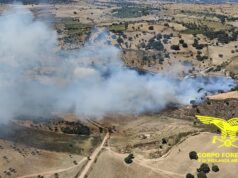 Sardegna, 15 incendi in un giorno: a Nurri necessario l’intervento dei mezzi aerei
