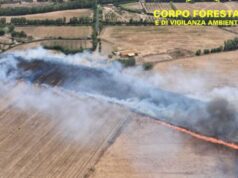 Dopo Santadi, grosso incendio anche a Carbonia: Sulcis sotto assedio