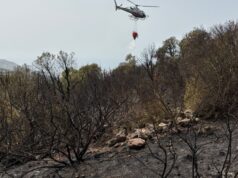 Bosa assediata dagli incendi nella notte, il sindaco: “Gesto vile e inaccettabile”
