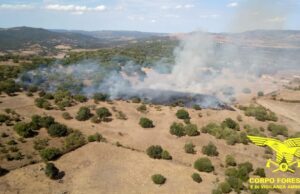 Sardegna, 10 incendi nella giornata odierna: paura nelle campagne di Padria