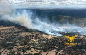 Sardegna, ieri 22 incendi: fiamme devastanti a Buddusò, 100 ettari di boschi in fumo