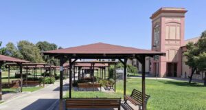 Pirri, concluso l’intervento anti-vespe: il parco dell’ex Vetreria è riaperto