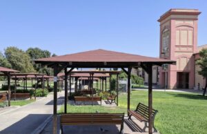 Pirri, concluso l’intervento anti-vespe: il parco dell’ex Vetreria è riaperto