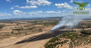 Sardegna, 12 incendi: a Girasole e Solarussa l’intervento dei mezzi aerei