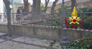 Tragedia sfiorata a Cagliari, cade un grosso ramo in Viale Regina Elena