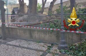 Tragedia sfiorata a Cagliari, cade un grosso ramo in Viale Regina Elena