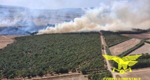 Incendi in Sardegna, la stagione continua: 20 roghi, 4 richiedono mezzi aerei