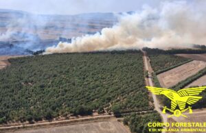 Incendi in Sardegna, la stagione continua: 20 roghi, 4 richiedono mezzi aerei
