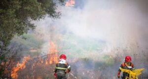 Spaventoso incendio a Silanus, 45 ettari di pascoli bruciati
