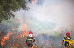 Sardegna, non si ferma il pericolo incendi: 30 in un solo giorno