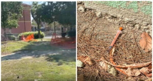 Cagliari, siringhe e degrado al parco giochi di via Talete: “Una discarica”