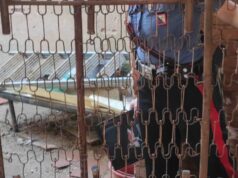 Iglesias, tre cani abbandonati in un casolare: padrone 31enne denunciato