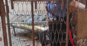 Iglesias, tre cani abbandonati in un casolare: padrone 31enne denunciato