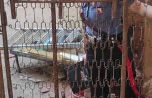 Iglesias, tre cani abbandonati in un casolare: padrone 31enne denunciato