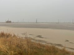 Nubifragio a Villaspeciosa: nelle campagne oltre 50 millimetri di pioggia