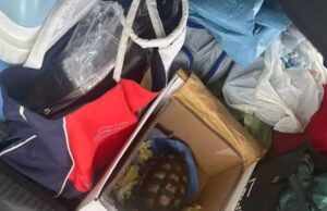 Olbia, rubano una tartaruga e sassi dalla spiaggia: fermati due turisti romani