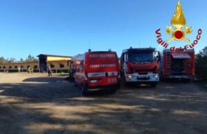 Arborea, incendio nelle scuderie dell’Horse Country: morti 8 cavalli e un cane