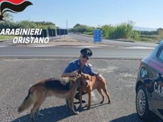 Oristano, fuggiti da casa a seguito di un incendio: due cani salvati