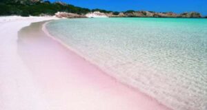 La Maddalena, colti a camminare sulla spiaggia rosa: 6 turisti sanzionati