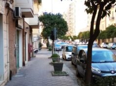 Cagliari, l’allarme del Grig: “Delinquenti avvelenano le piante in via Pergolesi”