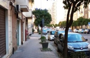 Cagliari, l’allarme del Grig: “Delinquenti avvelenano le piante in via Pergolesi”