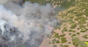 Sardegna, torna il pericolo incendi: 22 in un giorno, due canadair a Siris
