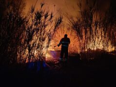 Incendi in Sardegna, nel 2025 sono andati in fumo circa 3800 ettari di territorio