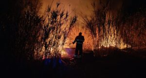 Incendi in Sardegna, nel 2025 sono andati in fumo circa 3800 ettari di territorio