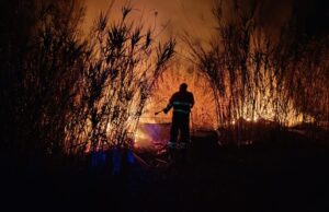 Incendi in Sardegna, nel 2025 sono andati in fumo circa 3800 ettari di territorio