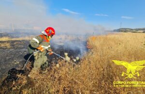 Sardegna, 16 incendi nella giornata odierna: elicottero in azione a Samatzai