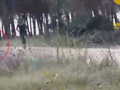 Terralba, arrivava con il monopattino e appiccava incendi: 30enne in carcere