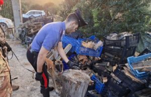 Portoscuso, arma da fuoco abusiva e ricettazione beni culturali: 72enne nei guai