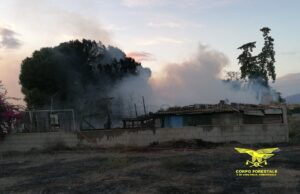 Incendio a Quartu, due anziani disabili salvati dai Forestali