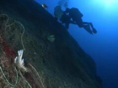 Torre delle Stelle, dai fondali tolte reti fantasma e trappole abbandonate