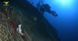 Torre delle Stelle, dai fondali tolte reti fantasma e trappole abbandonate