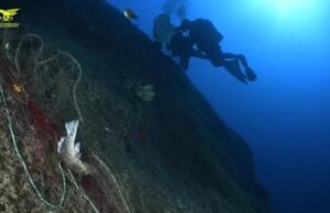 Torre delle Stelle, dai fondali tolte reti fantasma e trappole abbandonate