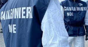 Burcei, rifiuti speciali abbandonati: sequestro da 100mila euro in un’officina