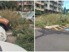 Cagliari, erba alta nel parcheggio di via Sarpi | Mura: “Abbandono incredibile”